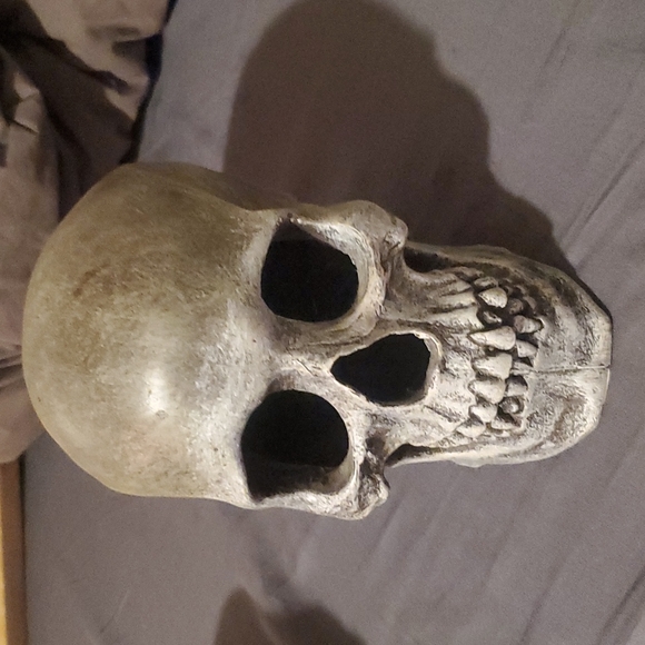 2 skull heads - Picture 3 of 4